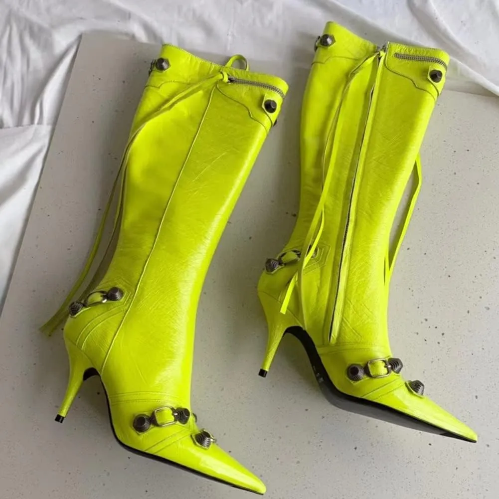 femflame Women's Knee High Boots for Women Pointed Toe Stiletto High Heels Rivet Party Dress Hot Long
